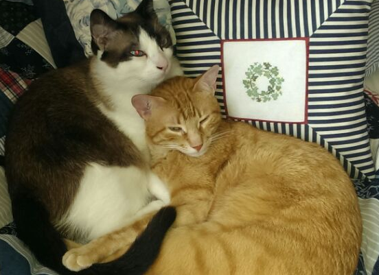 Symbolphoto - J. Klang Symbolphoto - J. Klang