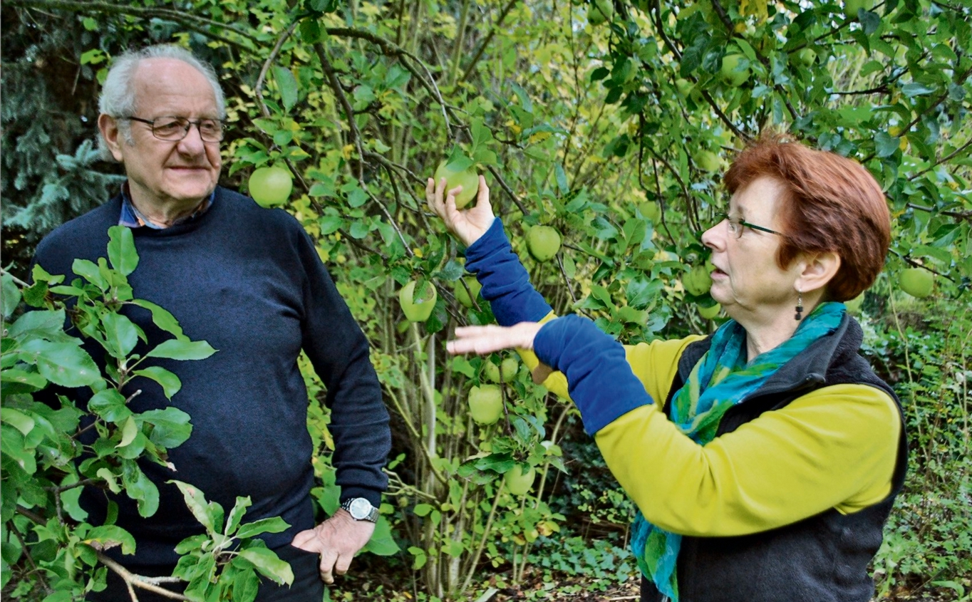 Nicole Ehnert gibt die Obstbörse auf Nicole Ehnert gibt die Obstbörse auf